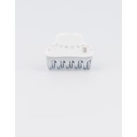 REGATE Alexandre de Paris