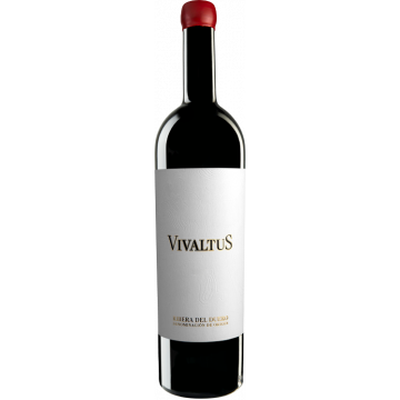 Vivaltus 2019 - Vivaltus
