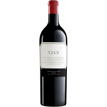 Yjar 2019 - Yjar