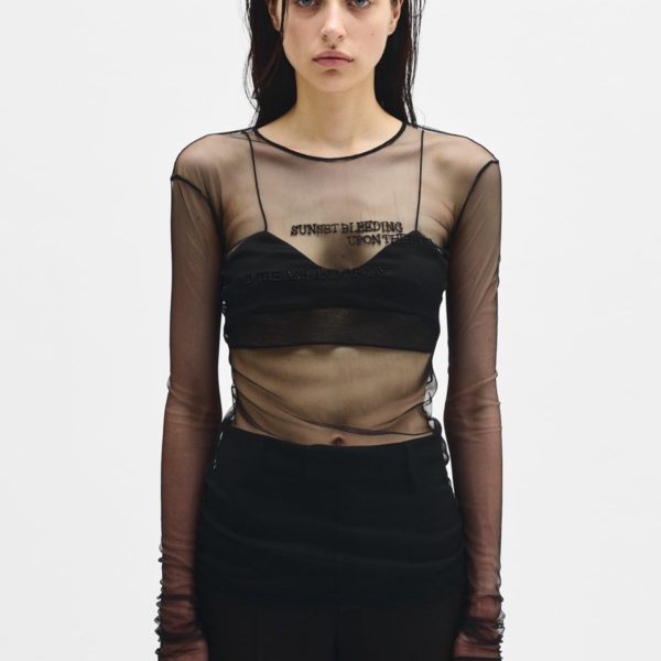 Fiene ''sunset Bleeding'' Long Sleeve Top - ANN DEMEULEMEESTER