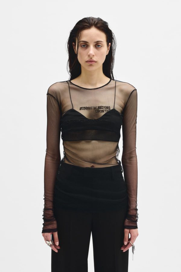Fiene ''sunset Bleeding'' Long Sleeve Top - ANN DEMEULEMEESTER