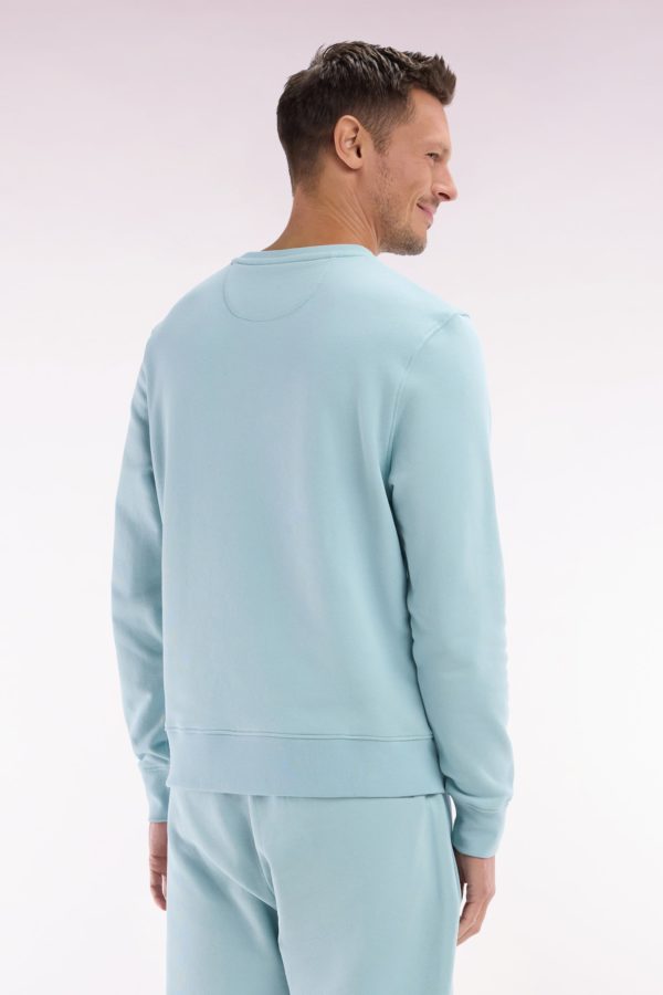 Sweatshirt En Molleton Coton Vert D'eau Coupe Droite Et Col Rond Eden Park – Image 3
