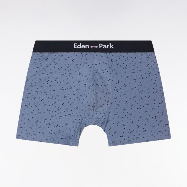 Boxer En Jersey De Coton Stretch À Micromotifs Gris Eden Park