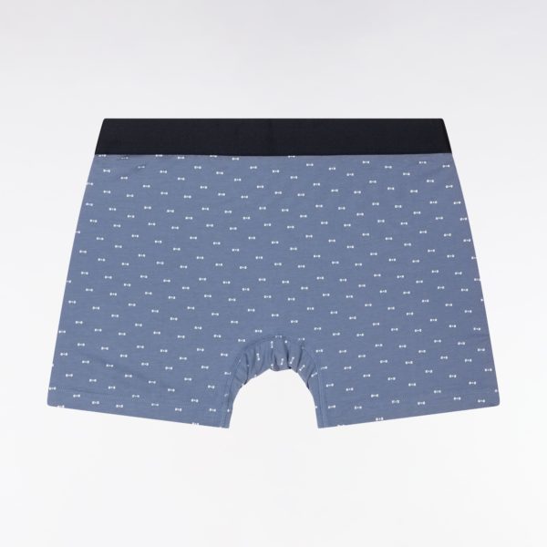 Lot De Deux Boxers Unis Et Imprimés En Jersey De Coton Stretch Bleu Gris Eden Park