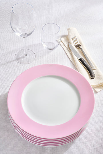 Lot De 6 Grandes Assiettes Roses En Porcelaine De Limoges Eden Park