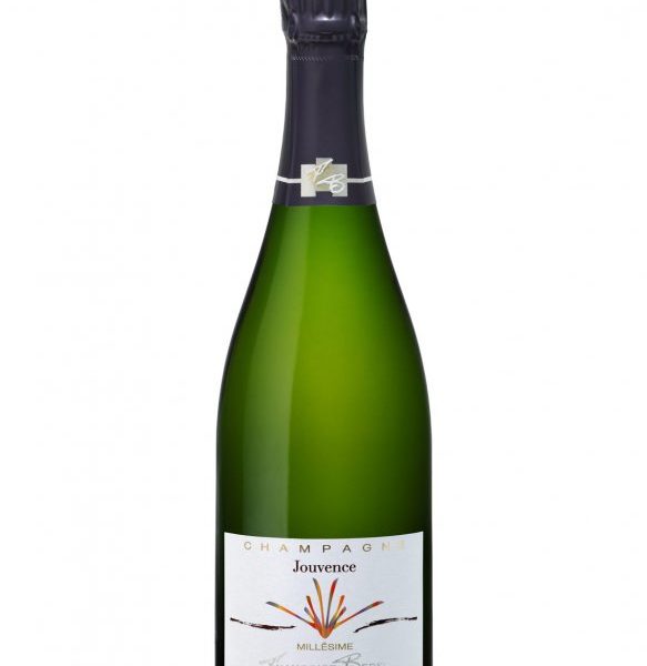 Champagne Jouvence 2013 Françoise Bedel