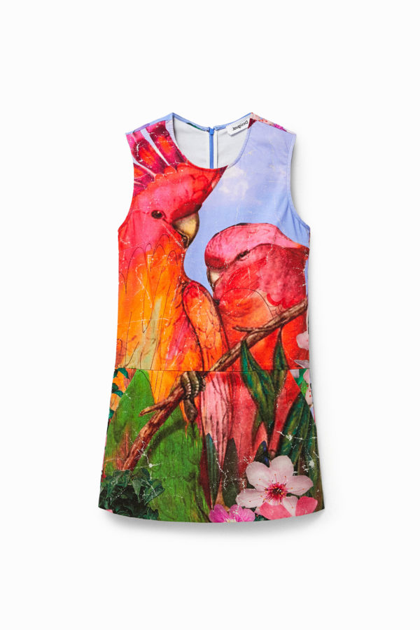 Robe chasuble perroquets - Desigual