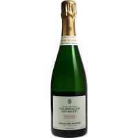 Alexandre Bonnet Extra Brut Blanc de noirs 75 cl – blanc par 1 –