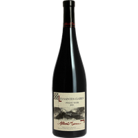 Domaine Albert Mann pinot noir Les Saintes Claires 2021 75 cl – rouge par 1 –