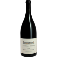 Domaine Génot-Boulanger 2020 150 cl – rouge par 1 –