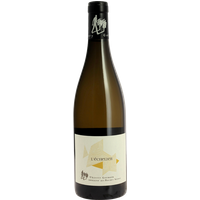 Dne Roches Neuves – T. Germain Clos de l’Echelier 2020 75 cl – blanc par 1 –