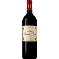 Château Branaire-Ducru 4ème Cru Classé 2019 75 cl – rouge par 1 –